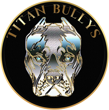 Titan Bullys