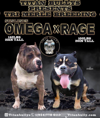 Omega X Rage 1 Omega X Rage